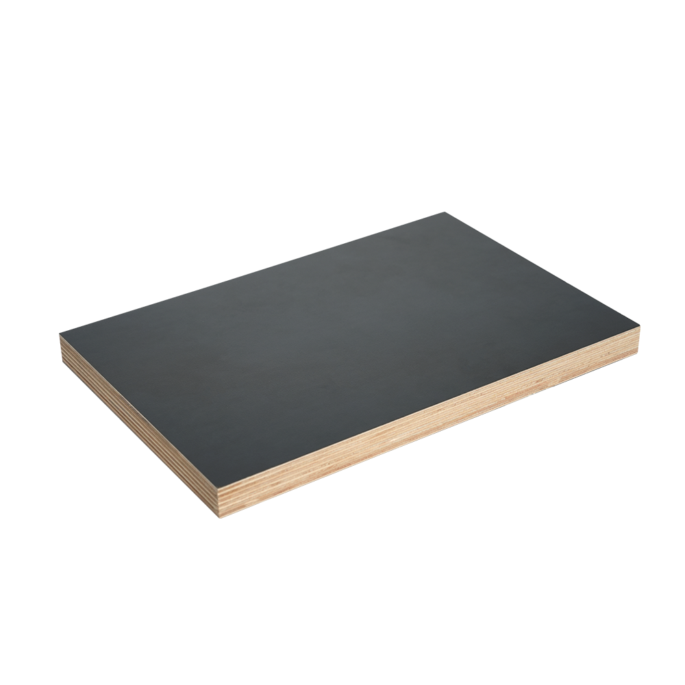 HPL Björkplywood