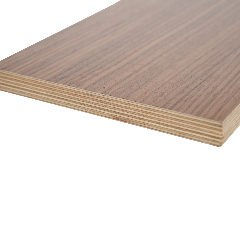 Träfanerad björkplywood 